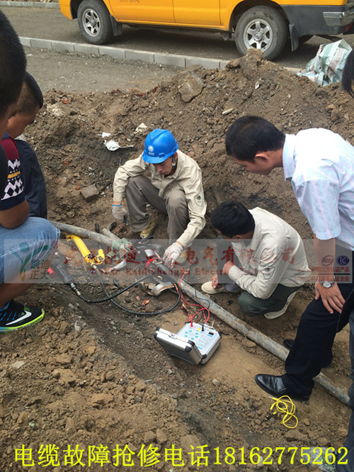 1460162483414861.jpg 电缆绝缘电阻测试.jpg