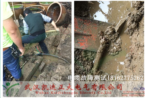 植物园电缆故障测试.jpg