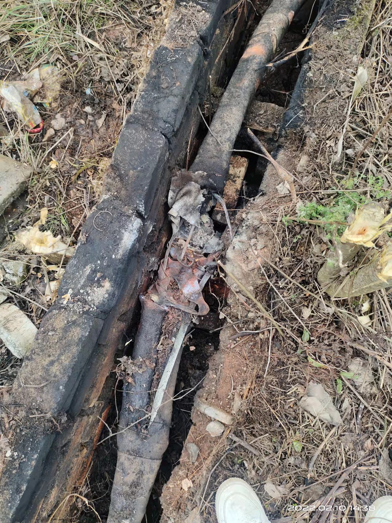 1644544774217636.jpg 1644544774217636.jpg