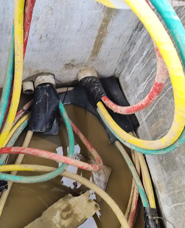 1742190837393860.jpg 微信截图_20250317133535.jpg